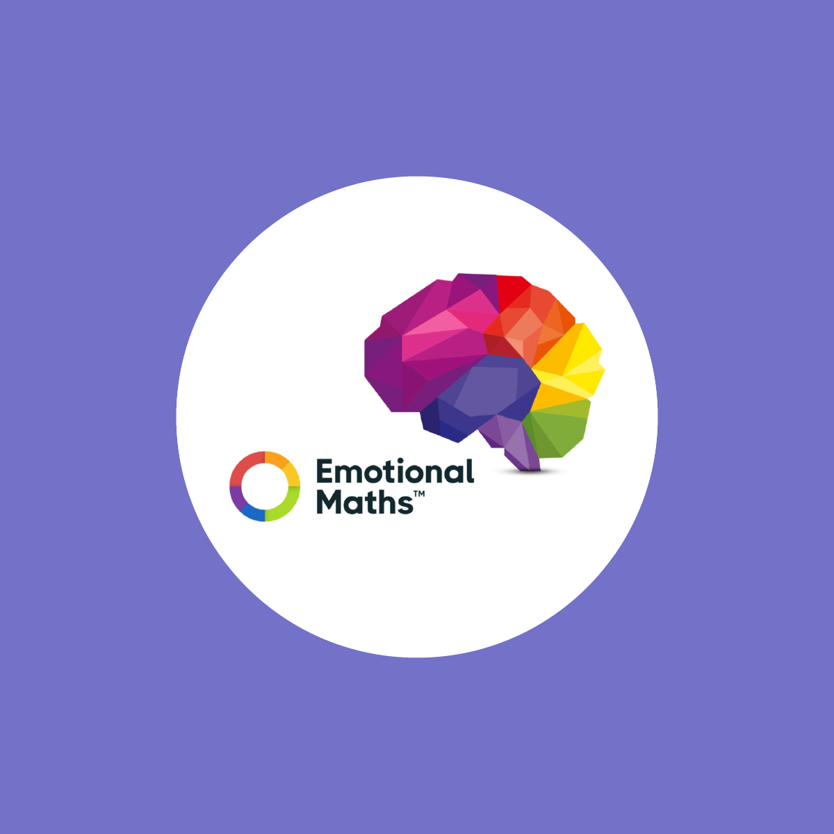 Emotional Maths meets FeelWise: a shared vocabulary for the workplace