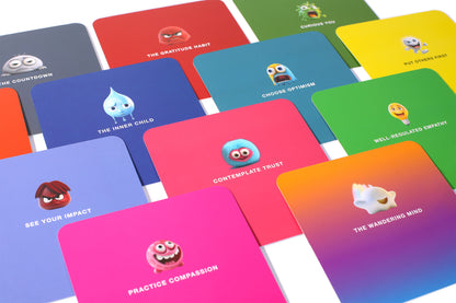 "Pink Owl" Emotions + Mindfulness Box